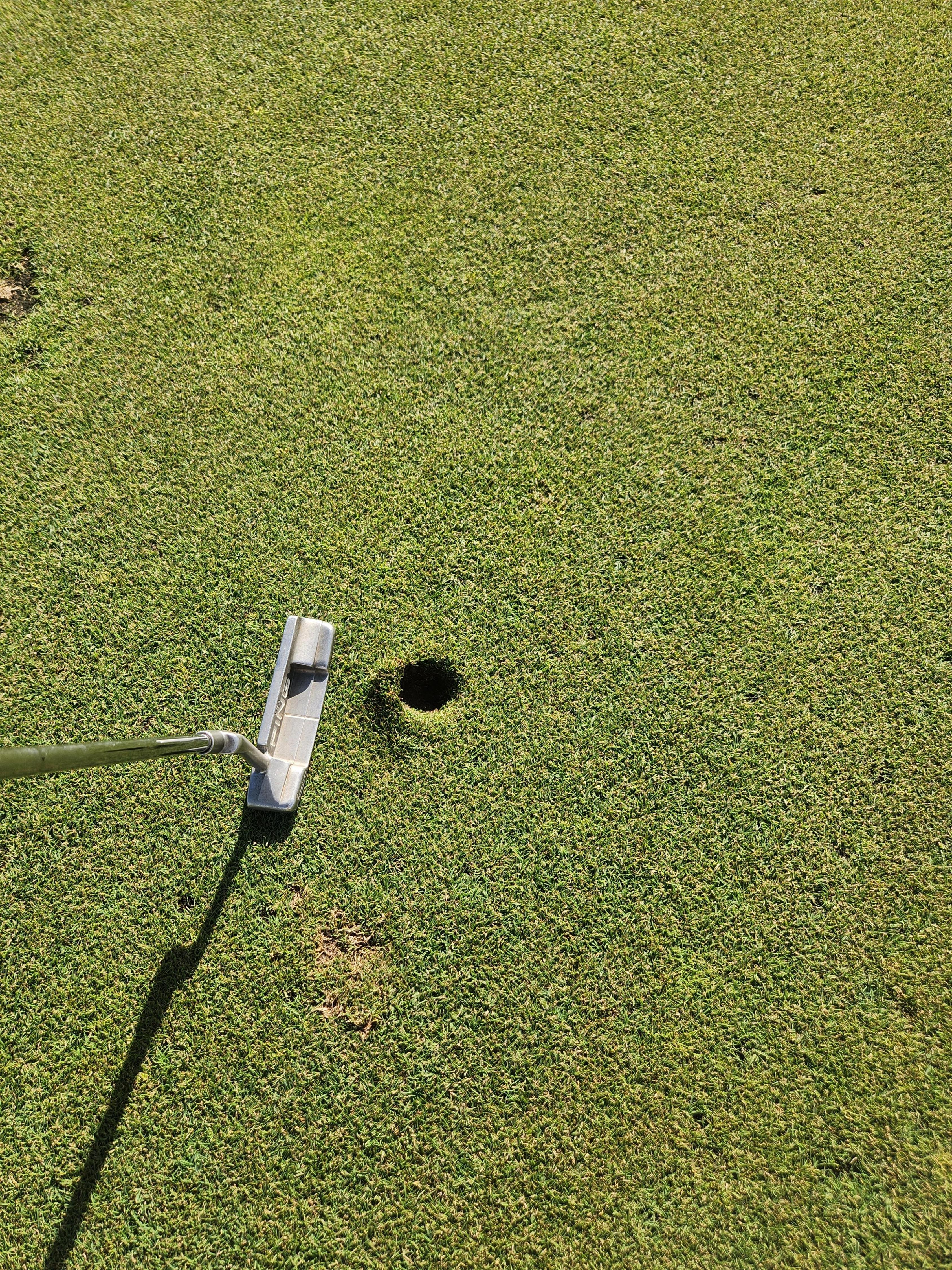 The Art of Pitch Mark: A Closer Look