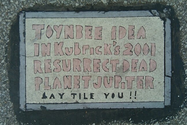 Discovering a Toynbee Tile: A Wild Find