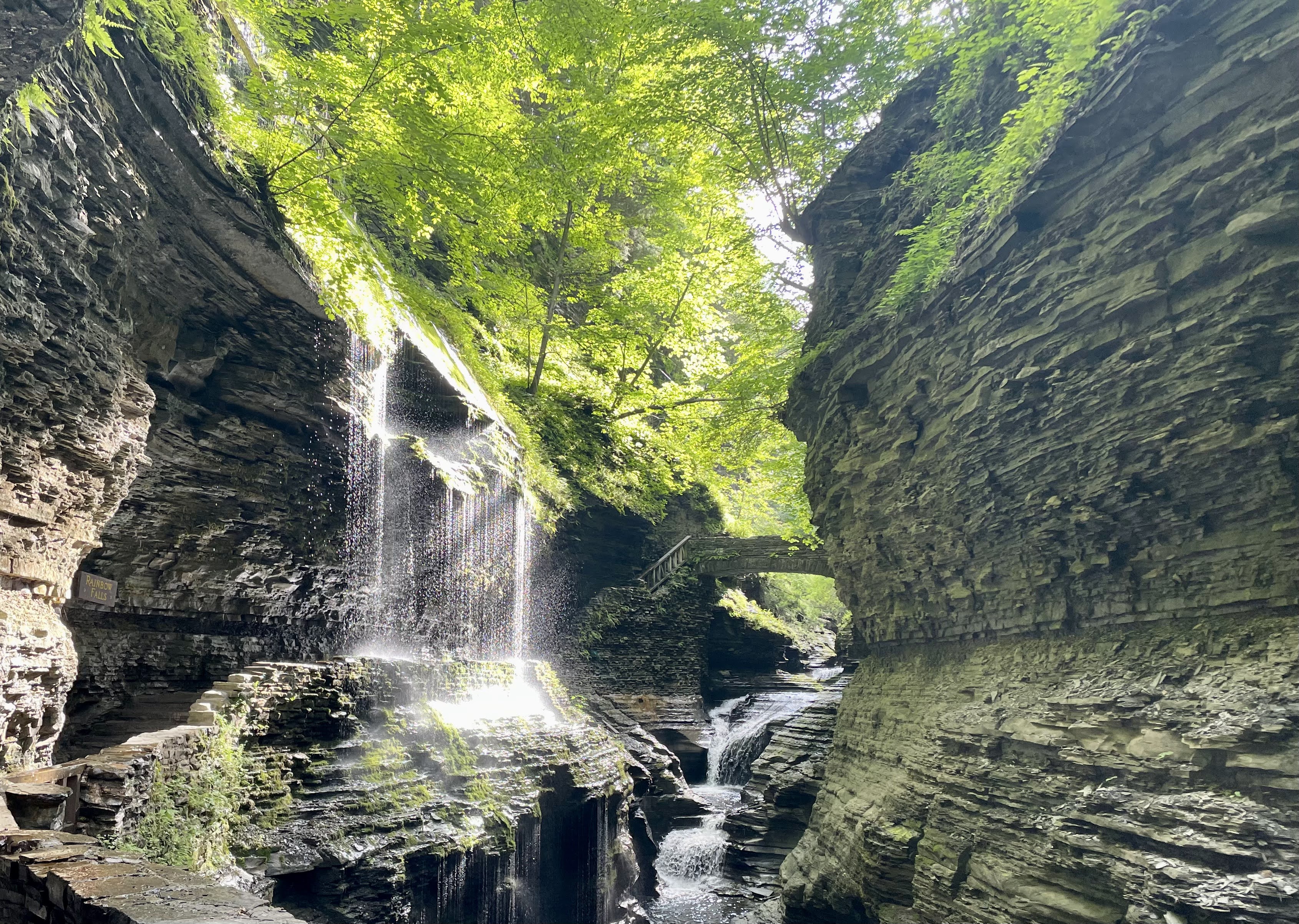Breathtaking Morning Trail Run at Watkins Glen State Park in NY
