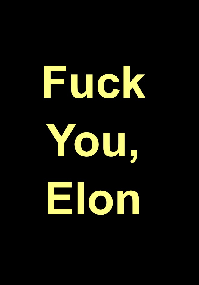 Elon, No One Voted for You - Please Take a Seat and Be Quiet