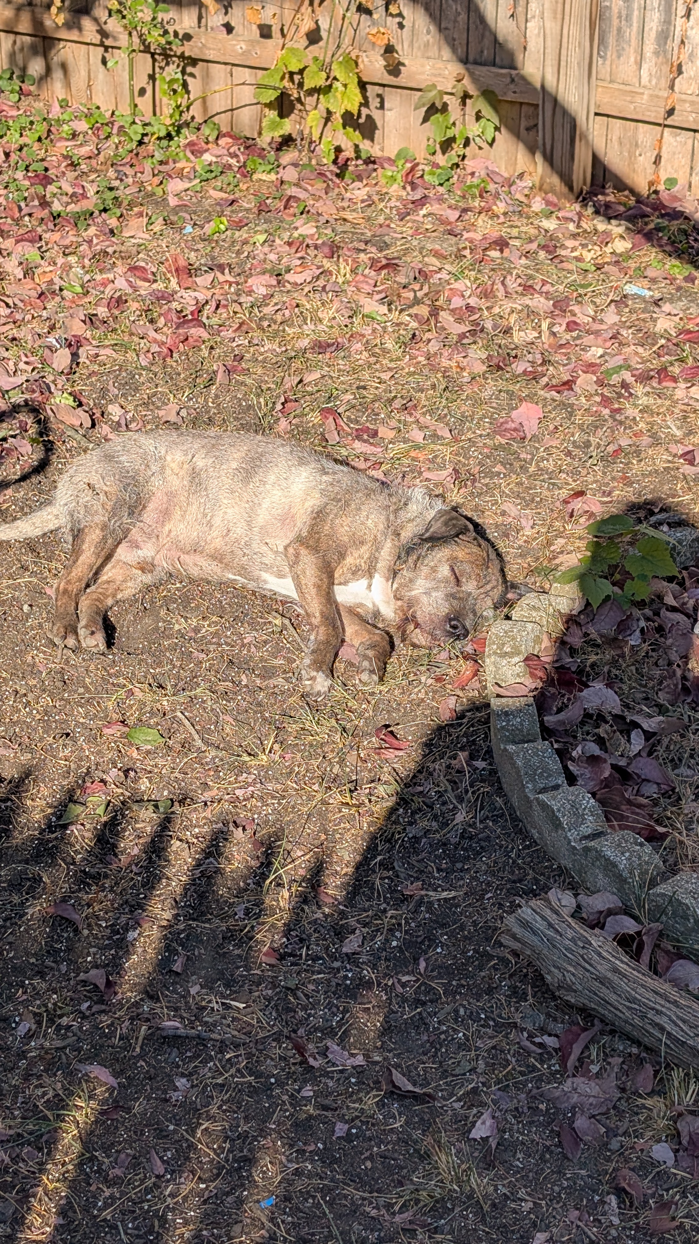 Yadkin: A Place to Remember