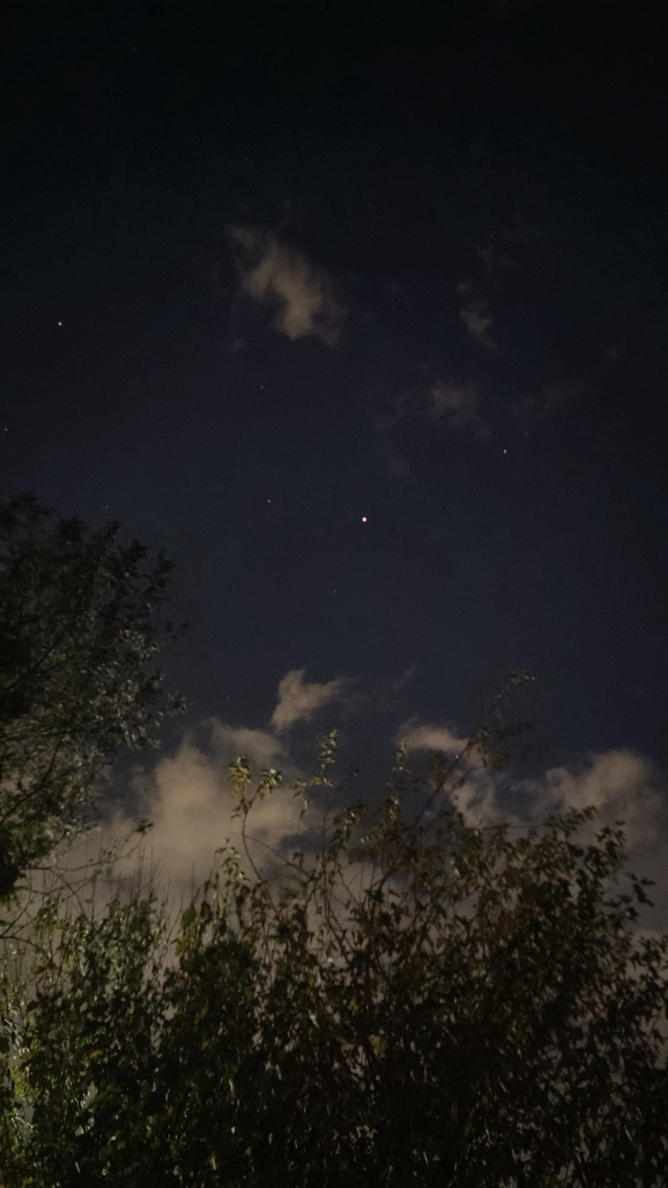 Gazing at a Stunning Night Sky