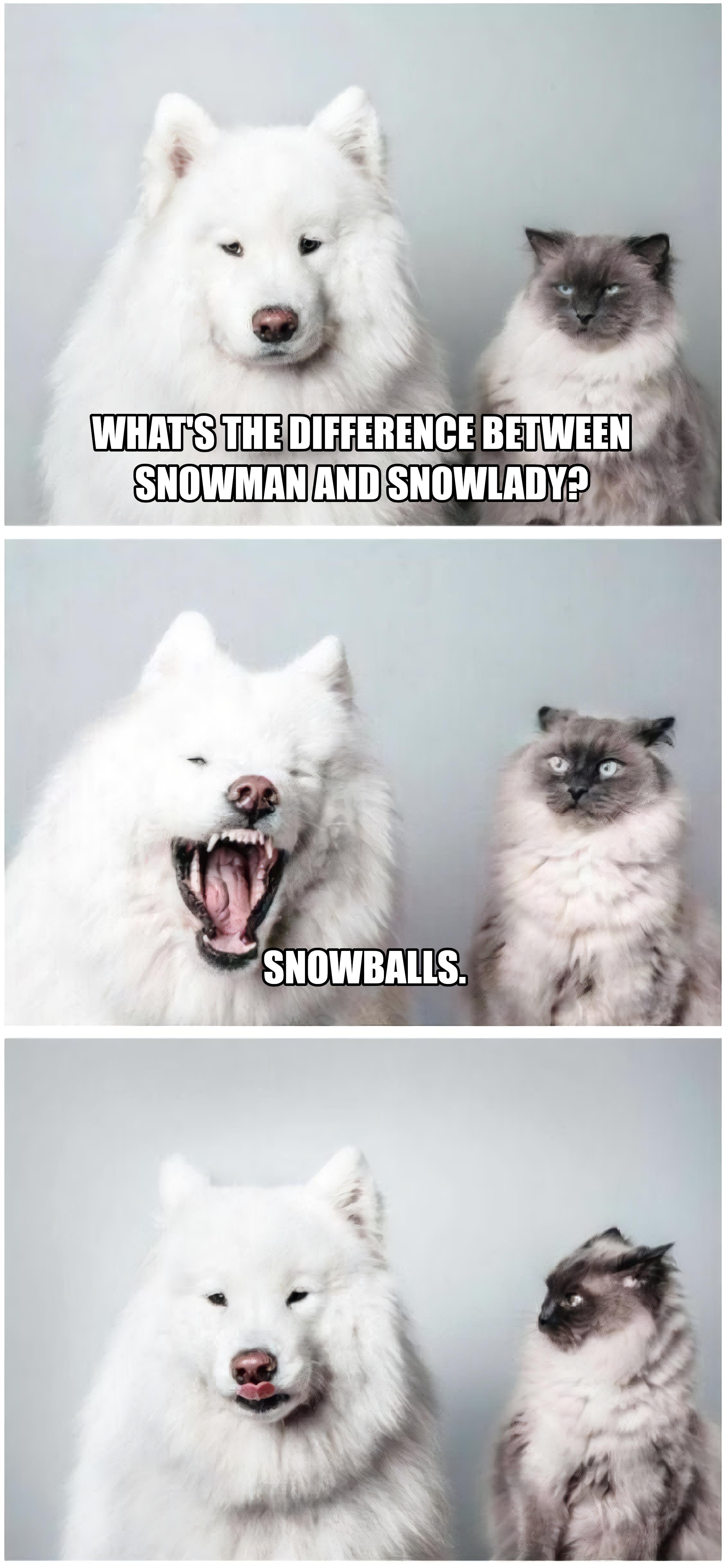 Just Some Classic Snowballs: Winter Essentials
