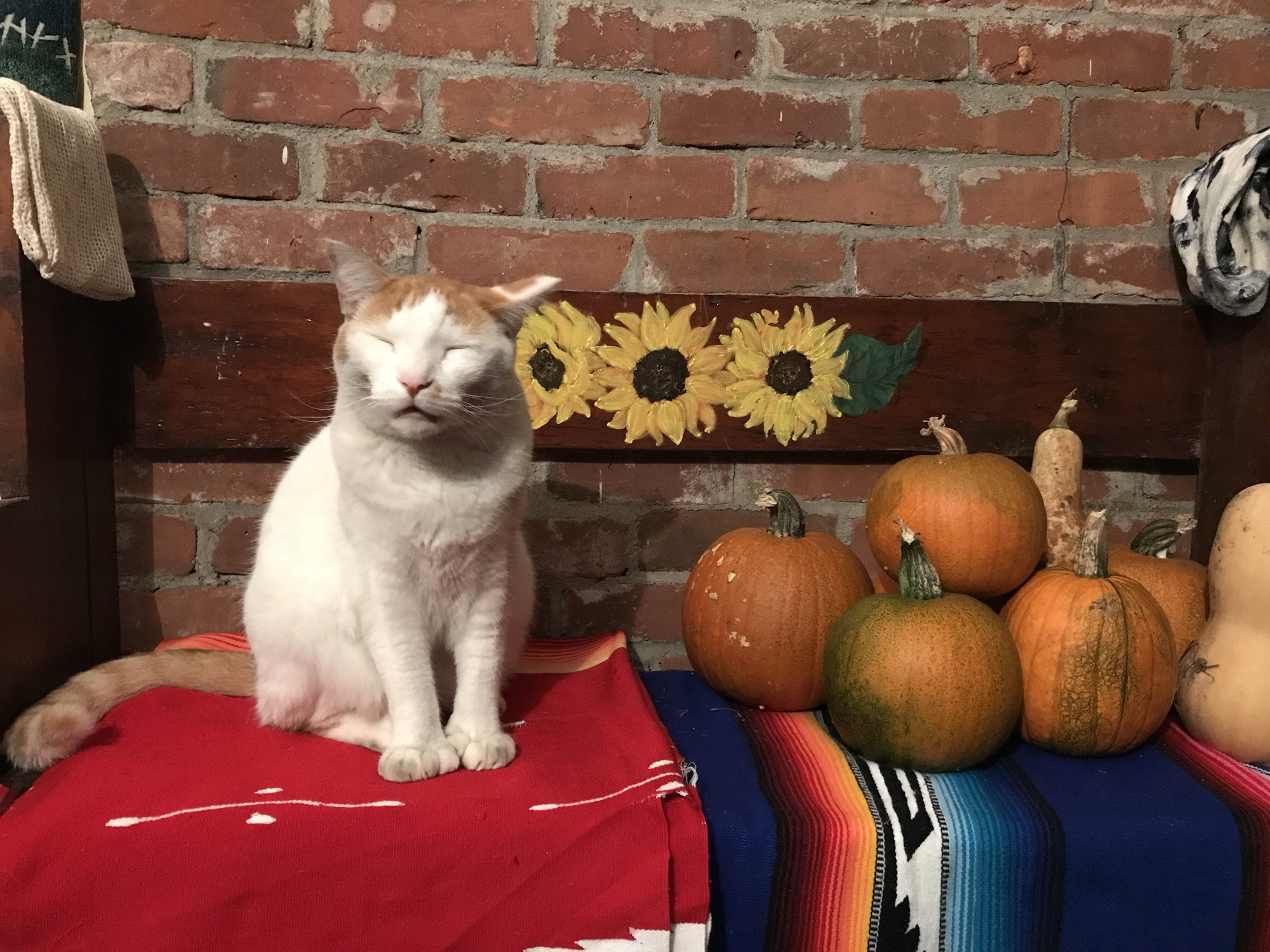 I love to share, share, share—Charlie and Miranda style!