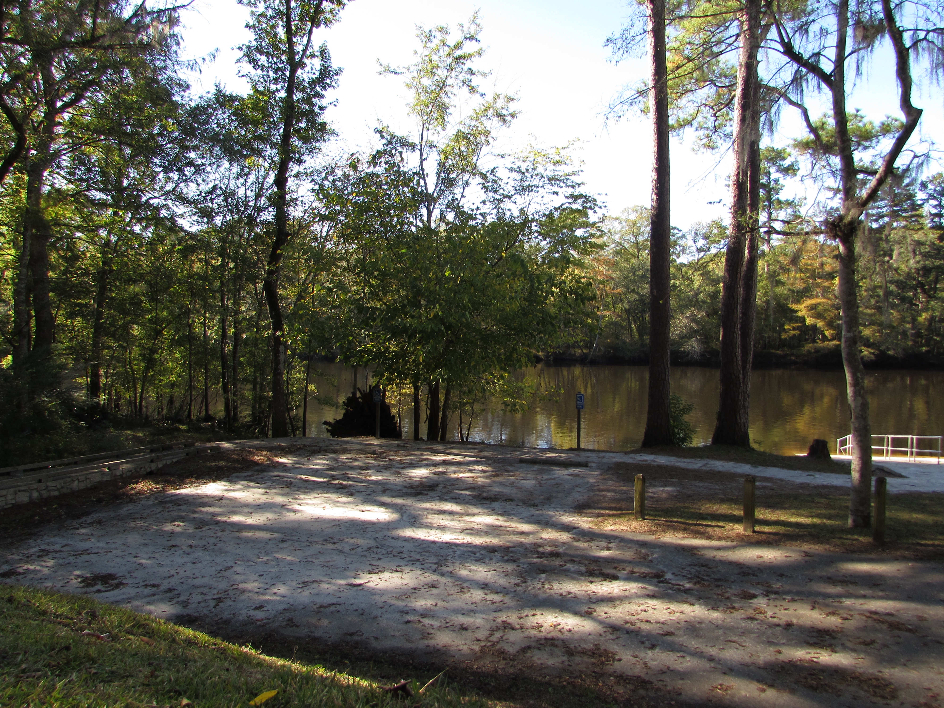 Exploring the Serene Beauty of the Edisto River