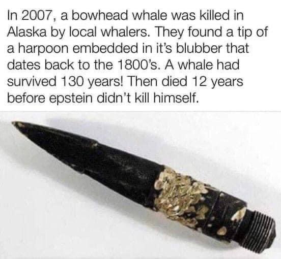 Knowledge is power