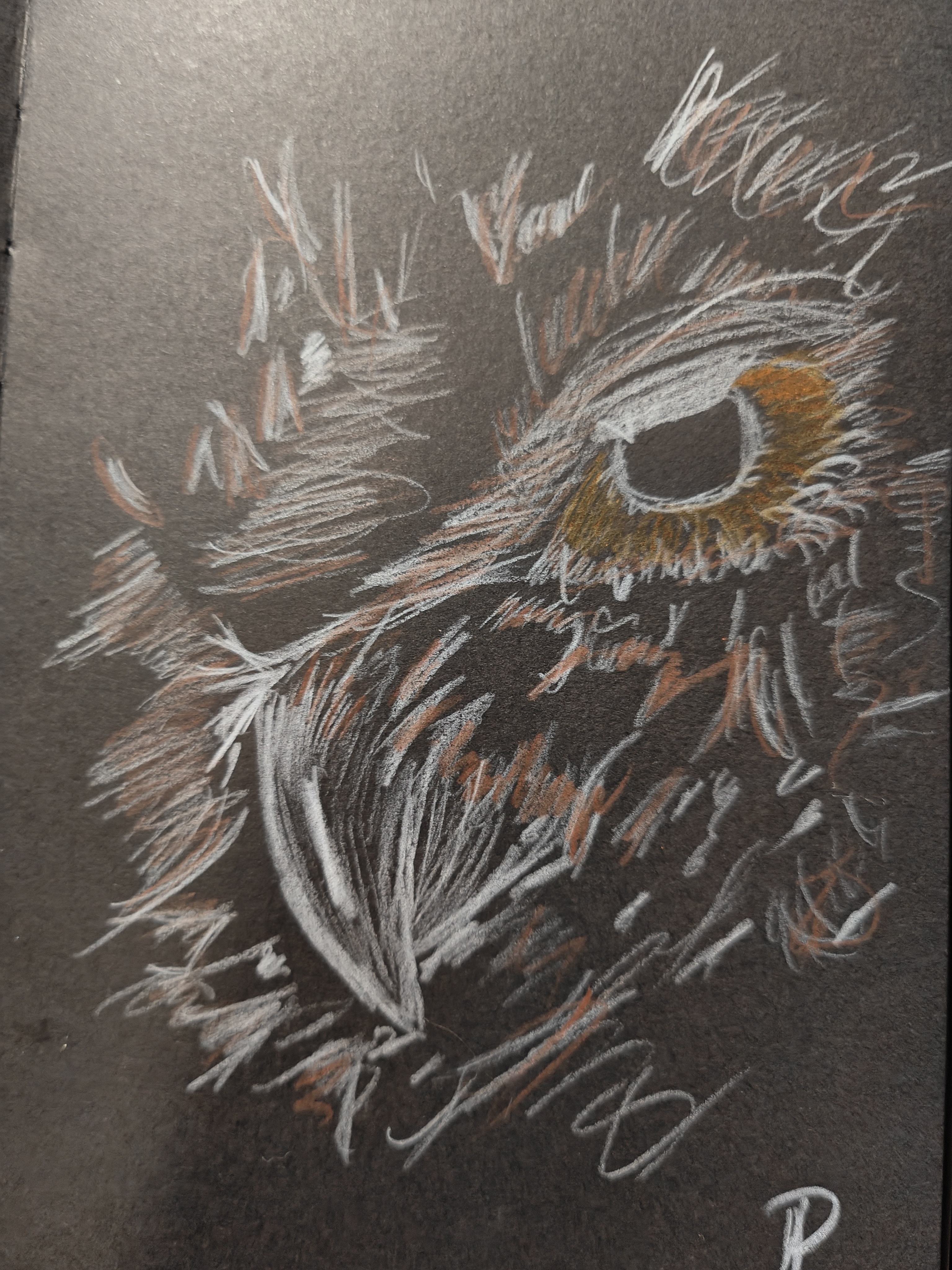 The Majestic Owl: Nature's Wise Creature