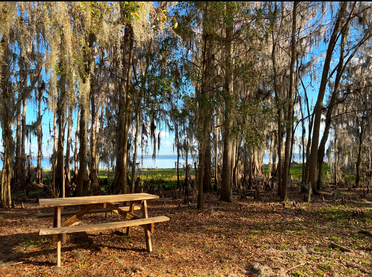 Charming Picnic Table at Newnans Lake