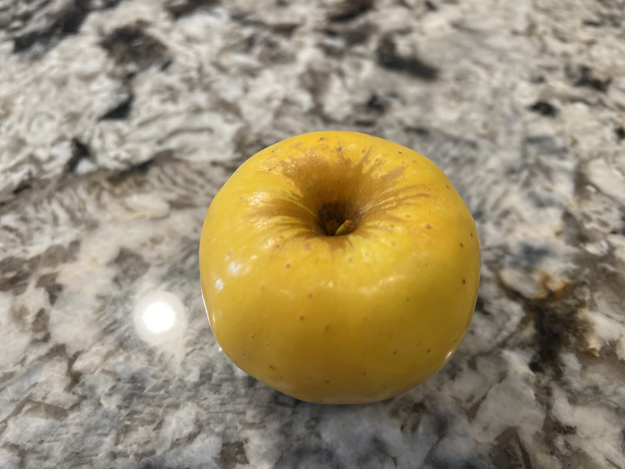 Opal Apples: The Fruit That Questions Your Hygiene