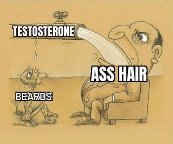 Embracing the Hirsute Vibes