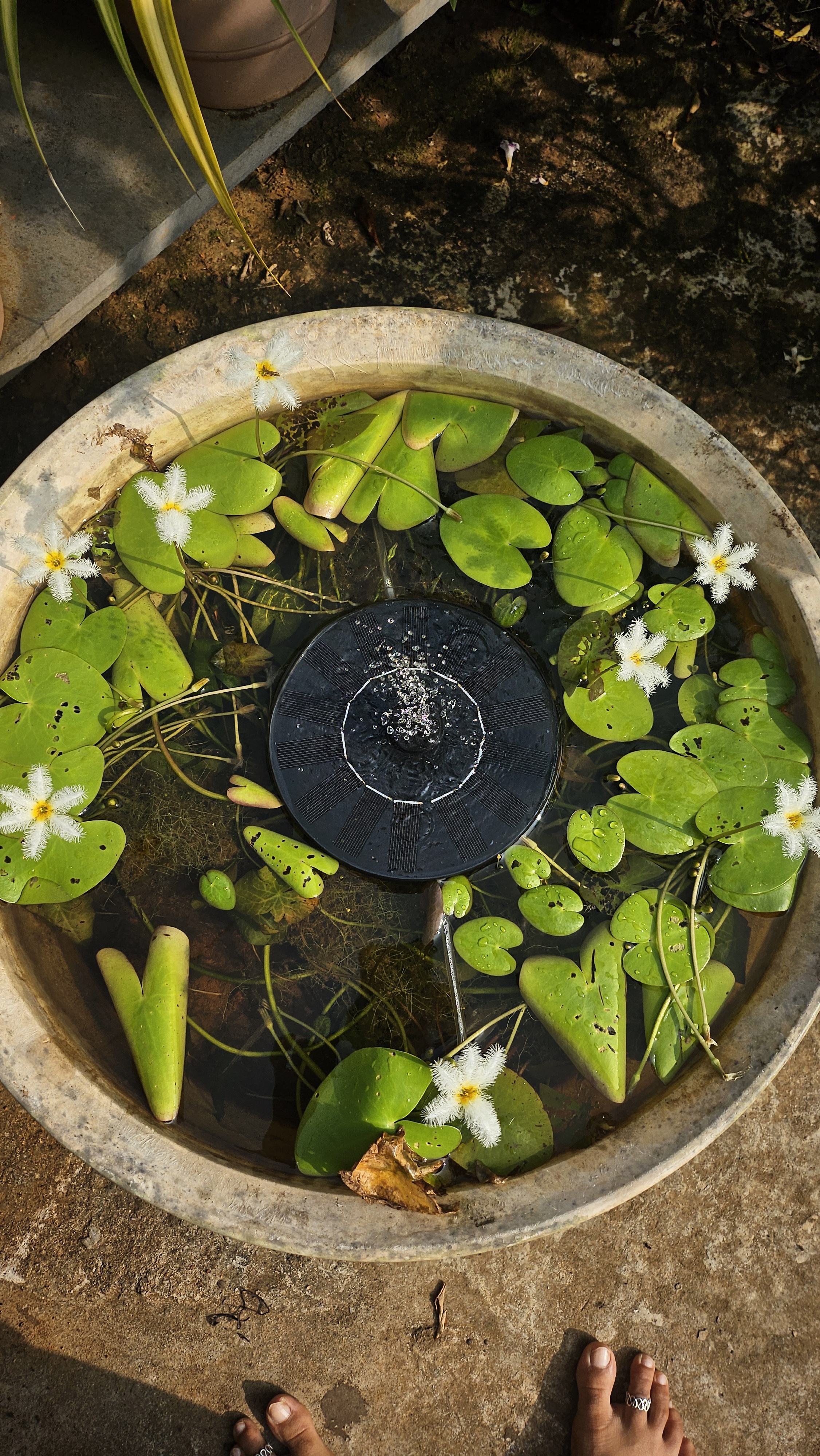 A Splash of Color: The Green Dump Adventure
