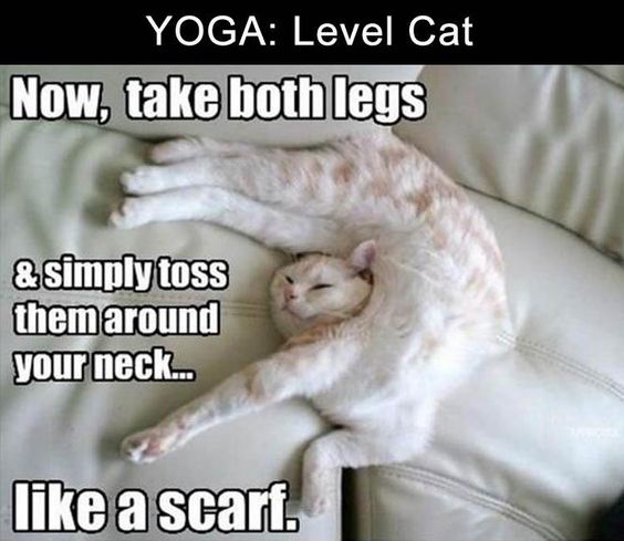 A Nostalgic Collection of Vintage Memes