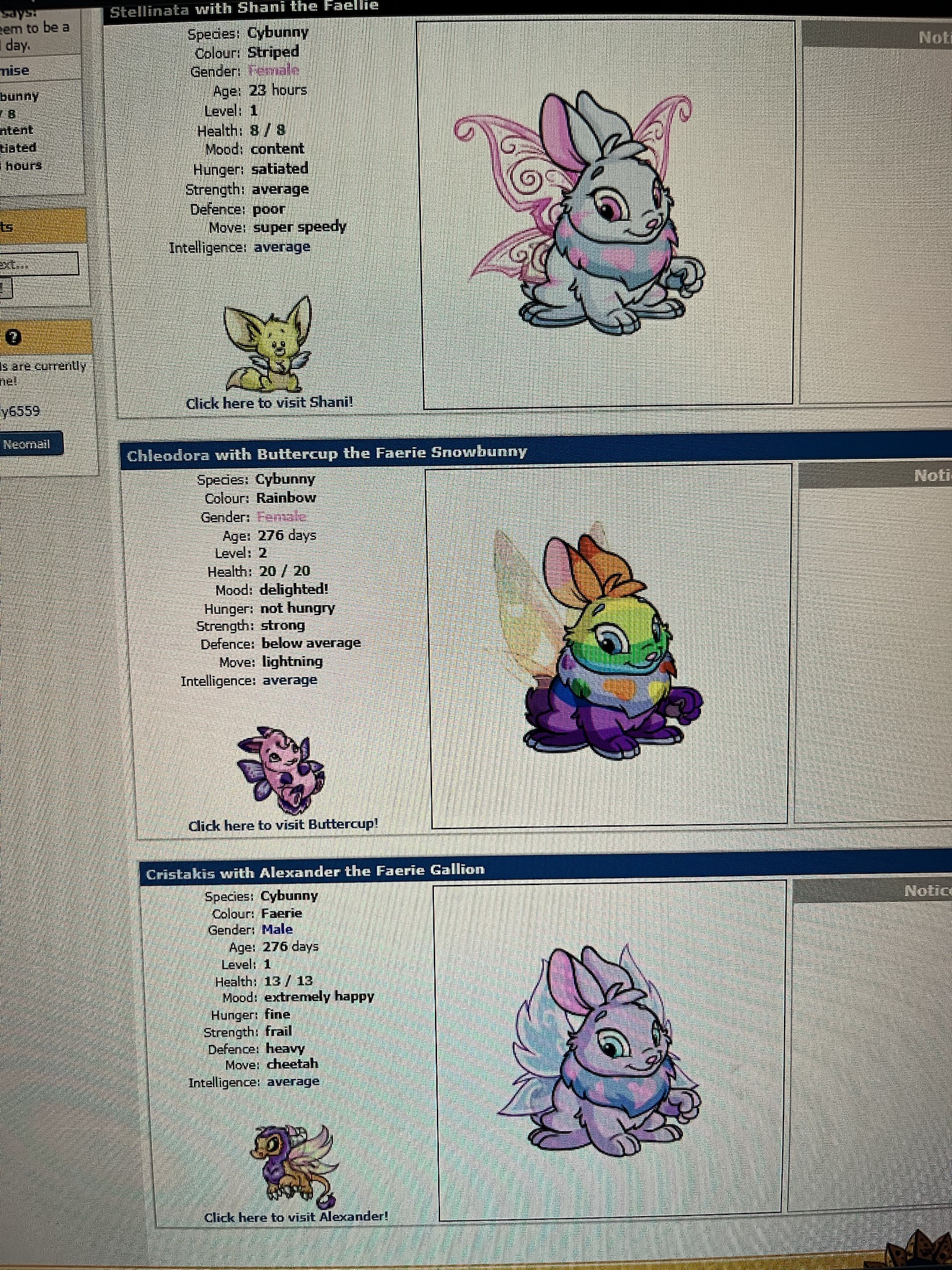 Nostalgic Neopets Journey: Achieving Childhood Goals