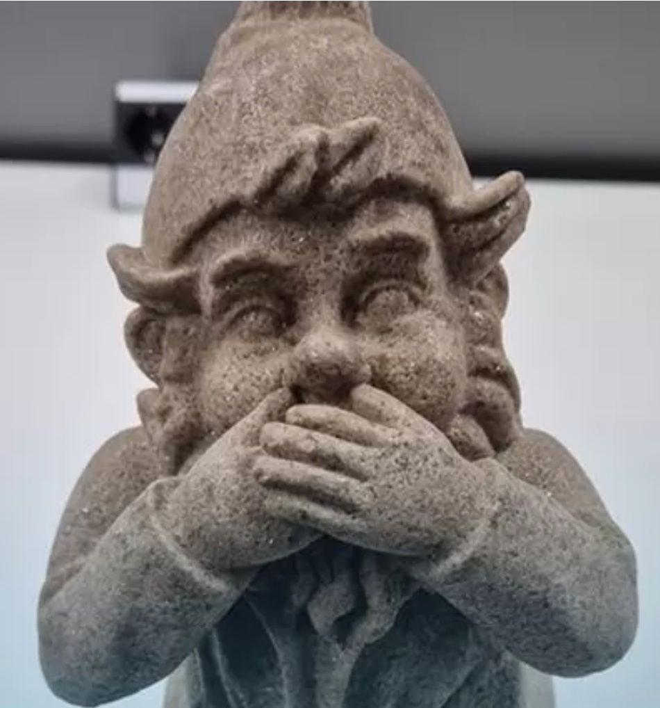 Meet the happiest gnome you'll ever see!