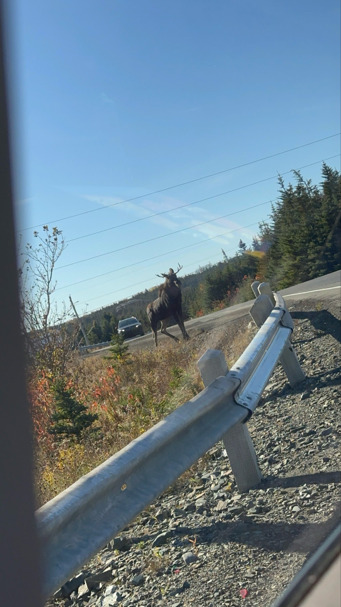 Say Goodbye to the Ditch Donkey