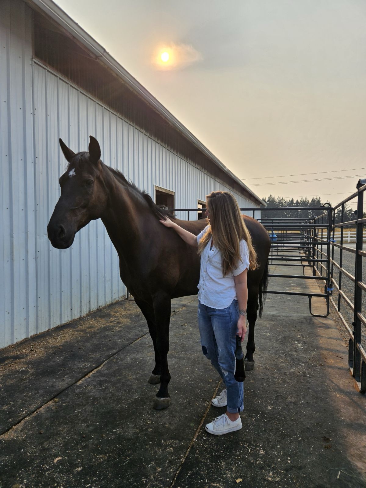 The Ultimate Kind of Horse: Majestic and Magnificent!