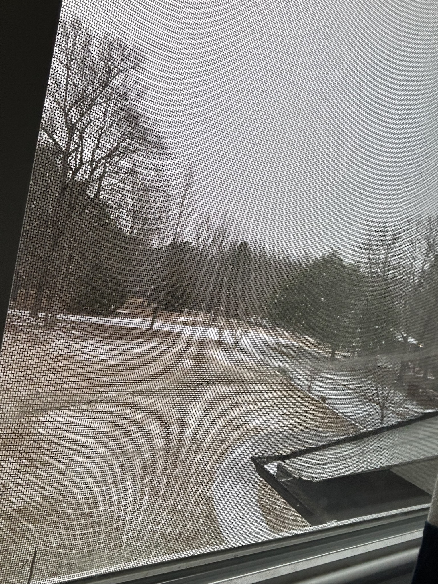Unexpected Snowfall in Georgia!