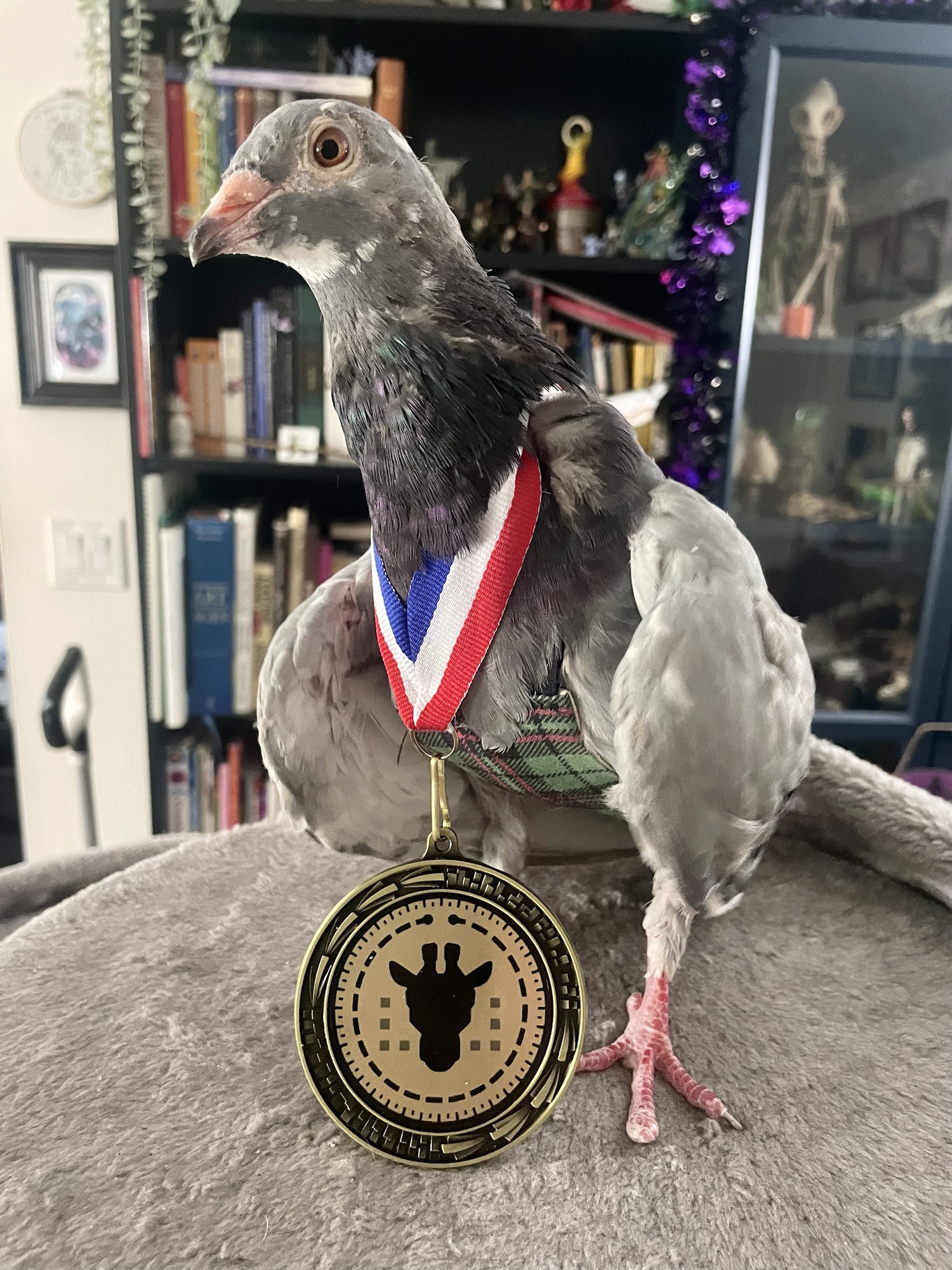 Benny's Medal Has Finally Arrived!