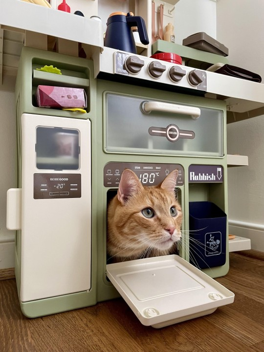 Freshly Baked Loaf: The Perfect Culinary Achievement