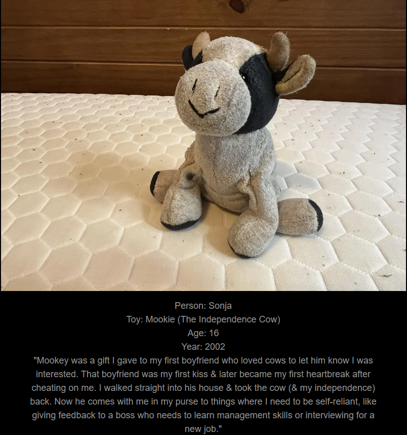 Day 799: Celebrating 900 toys! Join me on my website to explore the nostalgia of our beloved childhood companions.