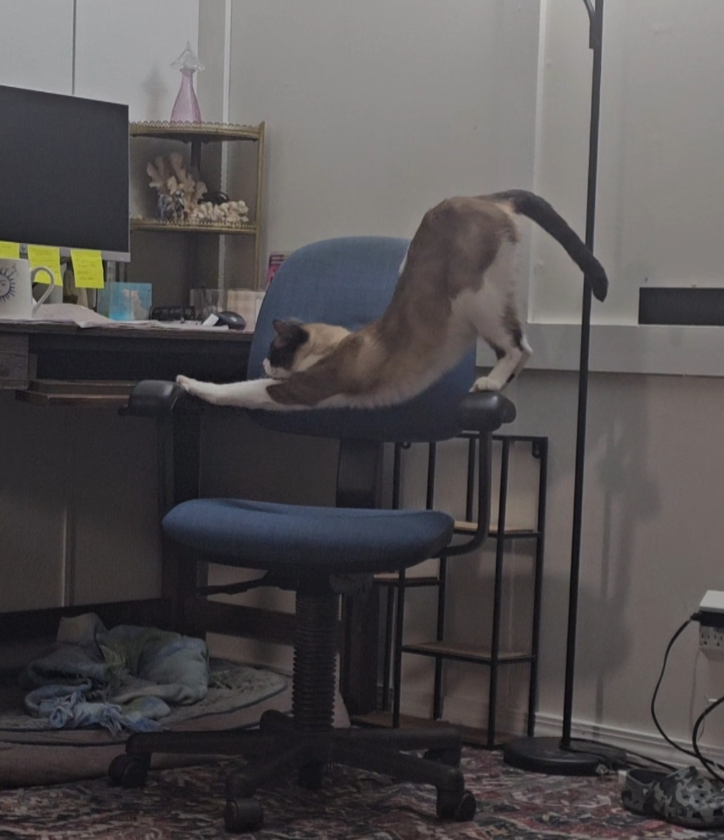 Can you picture the bliss of that perfect stretch?