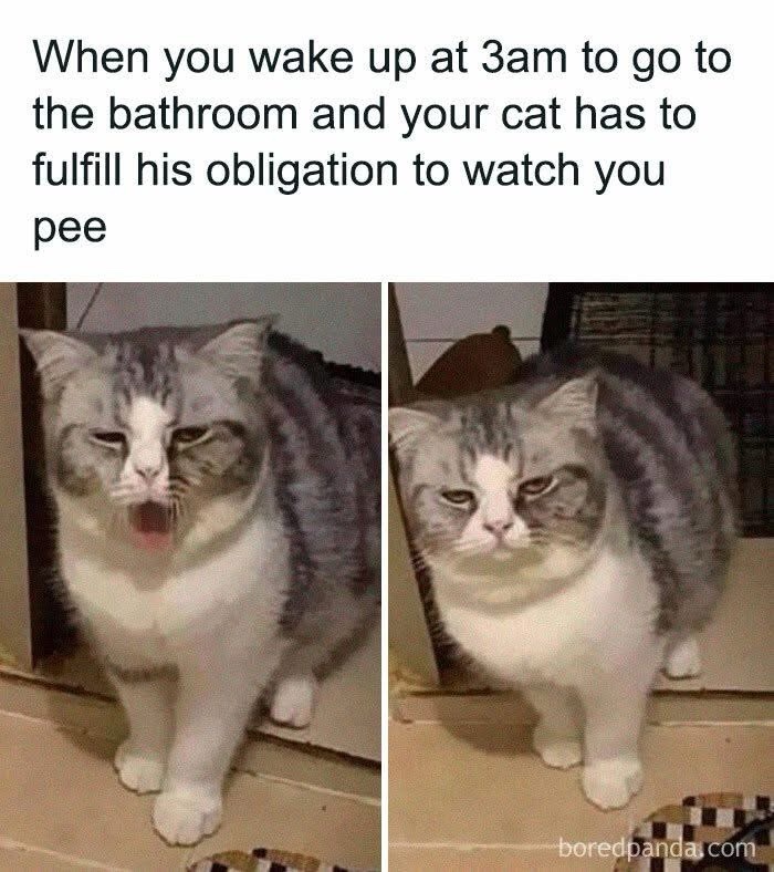 Please, Just Don't Do It