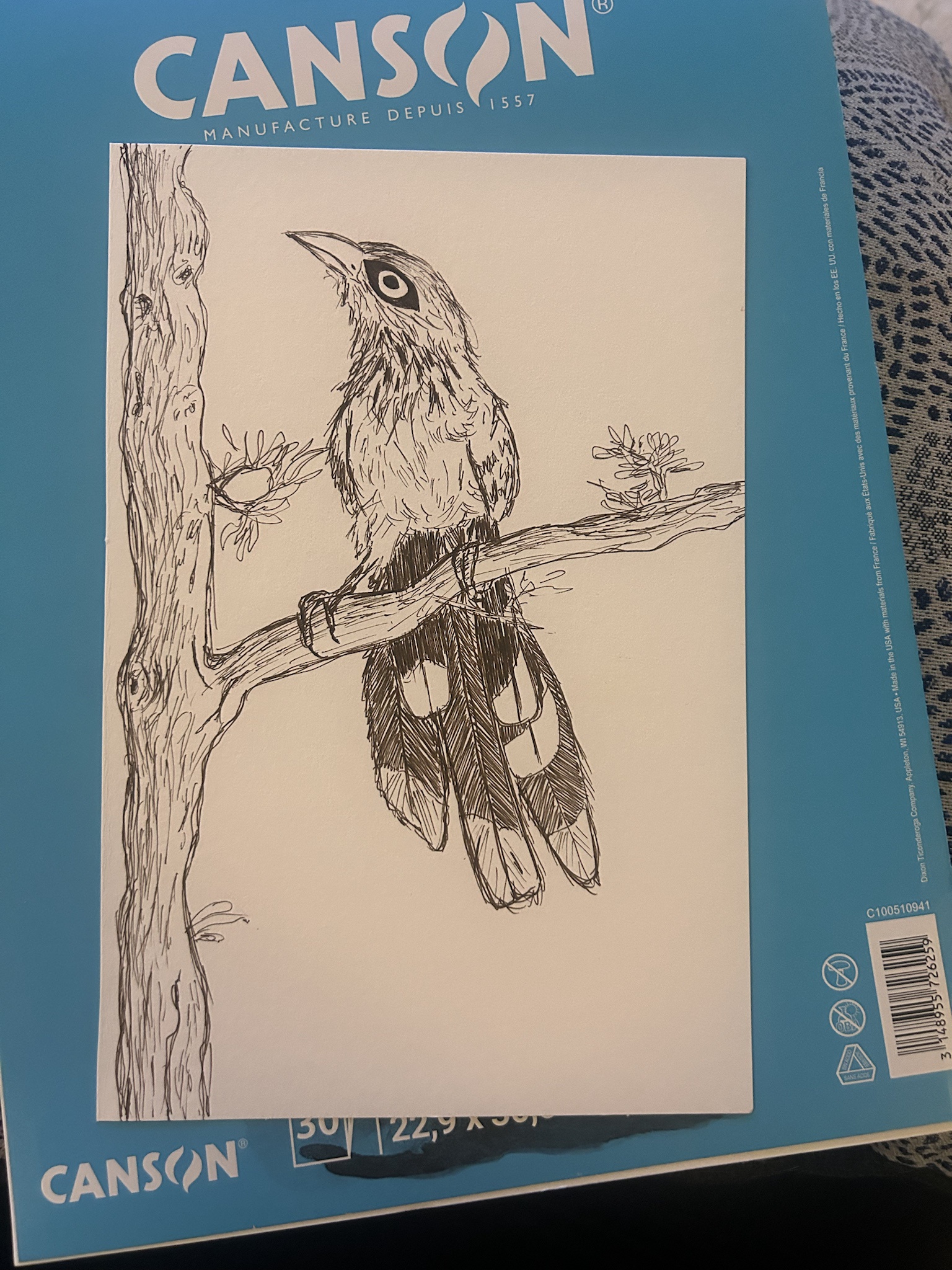 Artistic Sketch of a Blue-Faced Malkoha