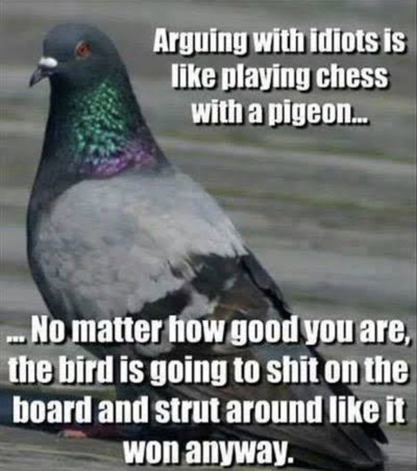 Arguing with fools is like playing chess with a pigeon - you can't win!