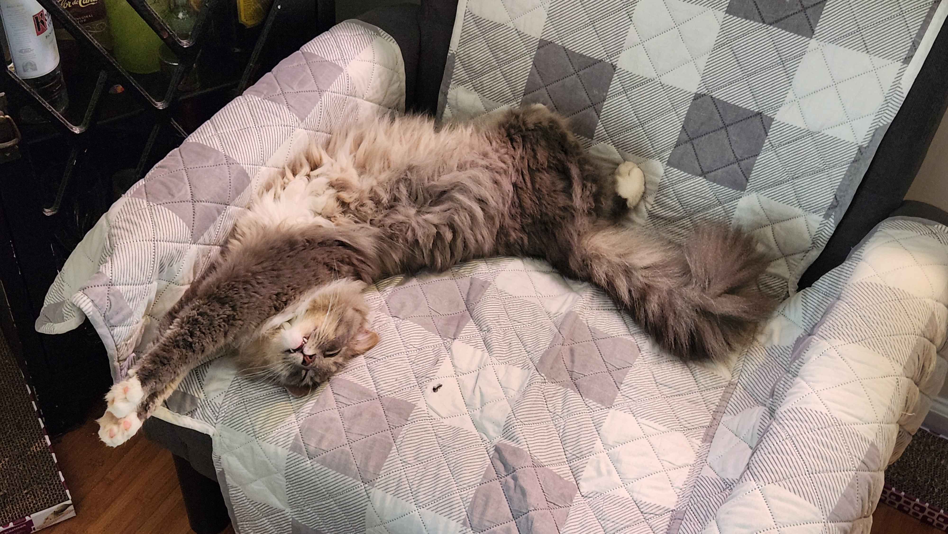 Sokka's Ultimate Guide to the Art of Fabulous Napping