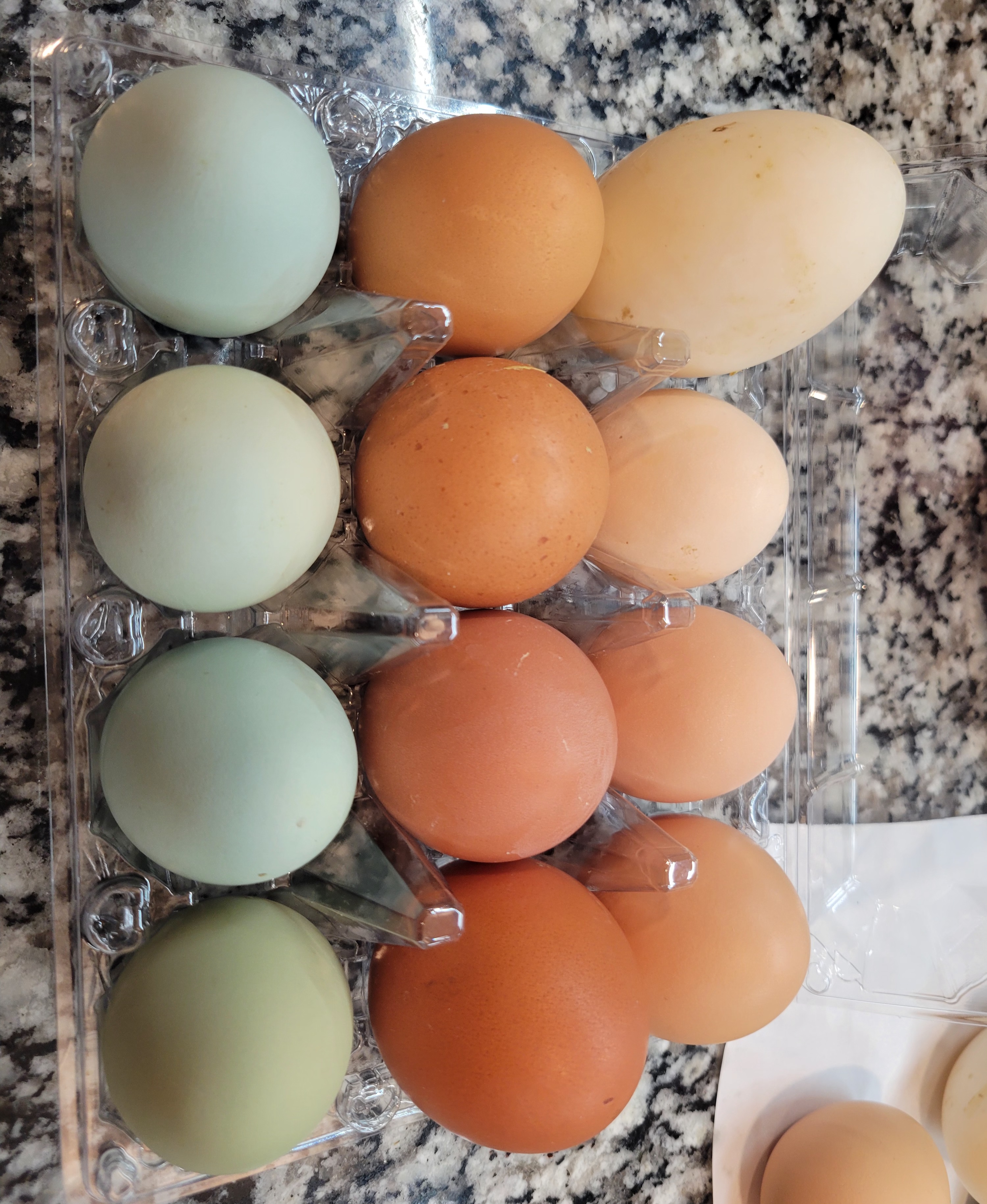 My birds have been laying nearly two dozen eggs daily!