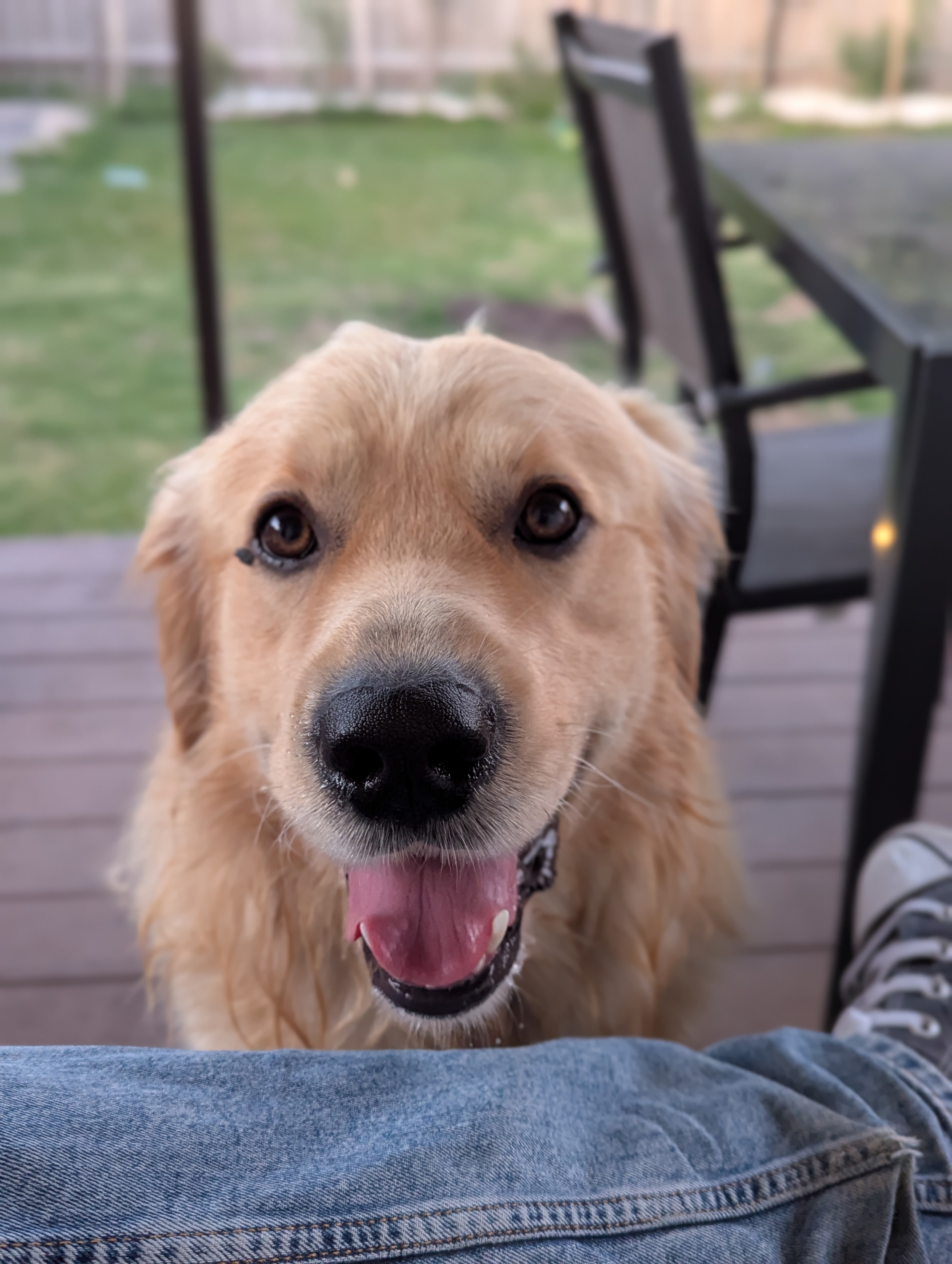 Hello There! I Just Want to Say I Love You!