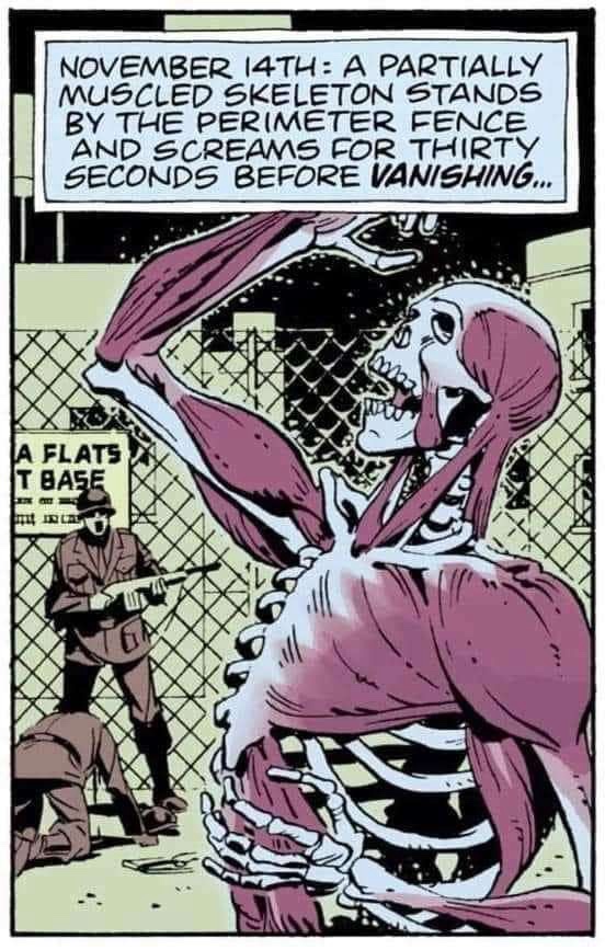 Stay alert for any screaming, partially muscled skeletons today!