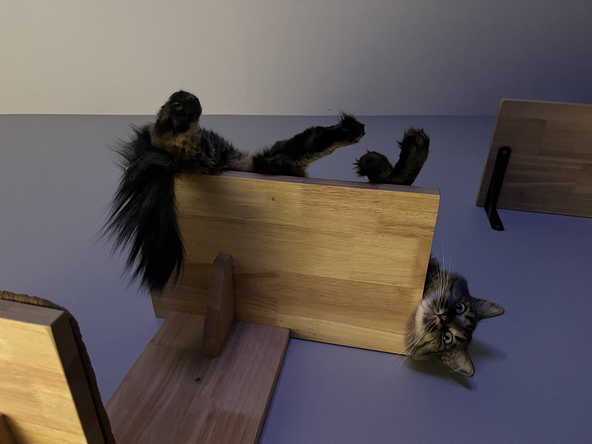 They’re Finally Getting Cozy with All This Wall Decor