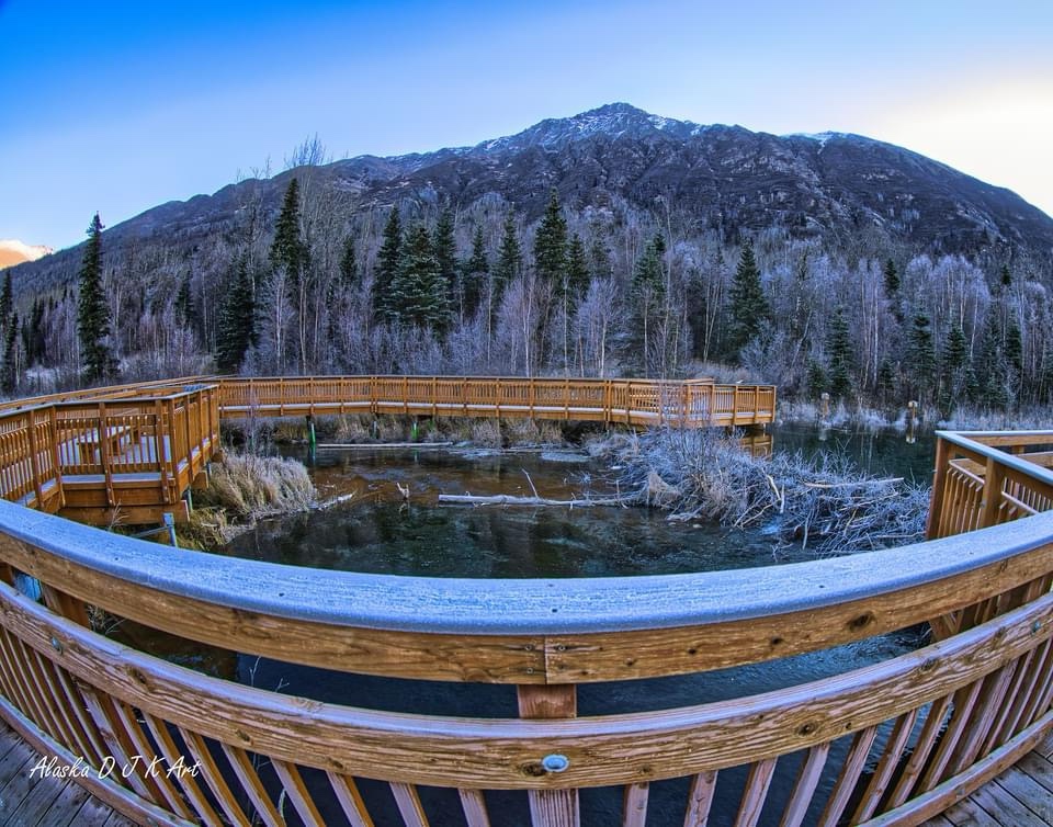 Exploring the Unique Perspective of a Fish Eye Lens