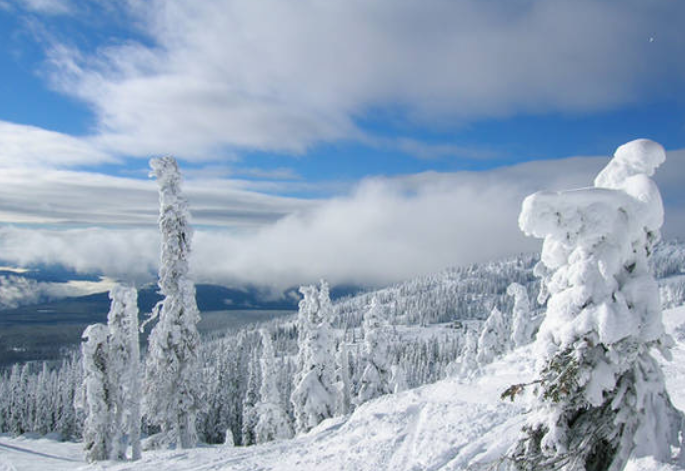 Breathtaking Winter Scenery
