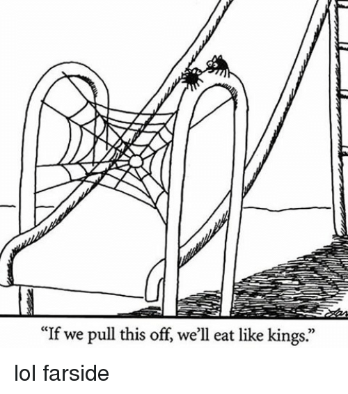 Just because it's hilarious!