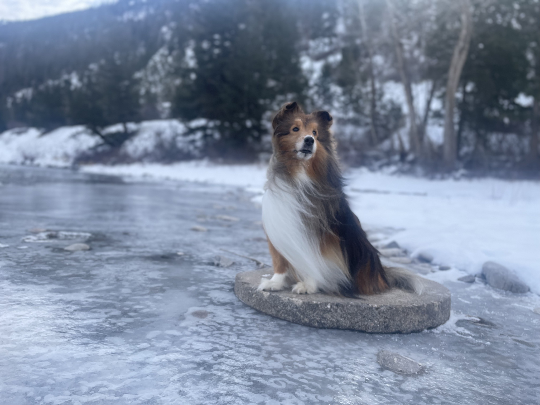 Ricky Embracing the Joys of Winter Weather