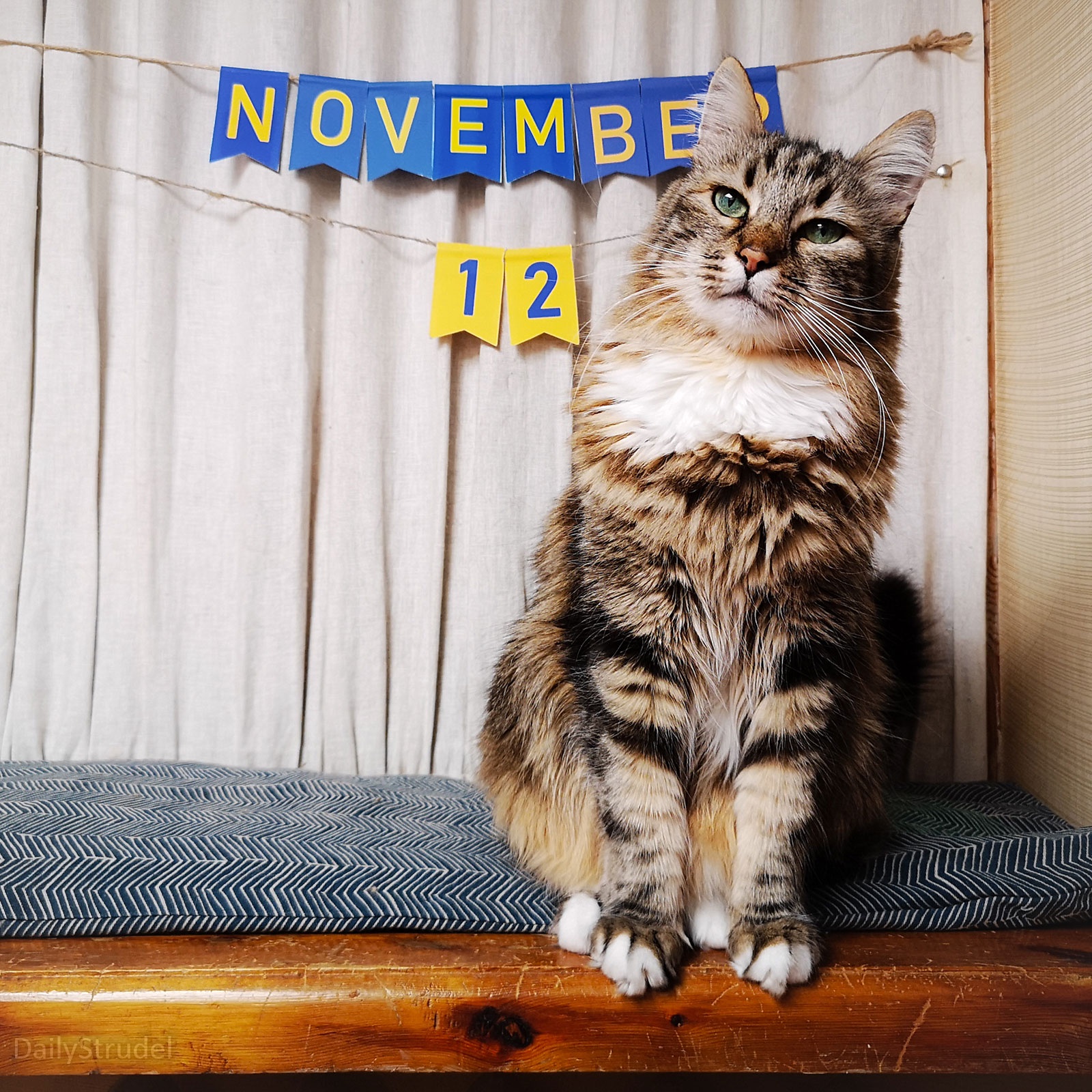 Mark Your Calendars: November 12 is Coming!