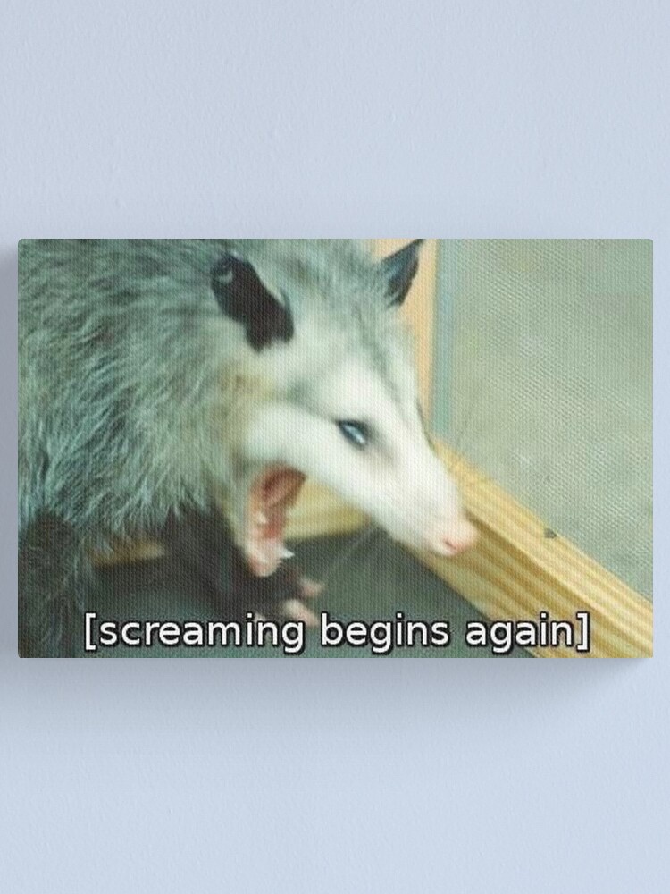 It's my cake day! With everything happening in the world lately, I'm not sure we'll make it. So, here are some paintings I've created and some possums to express my feelings.