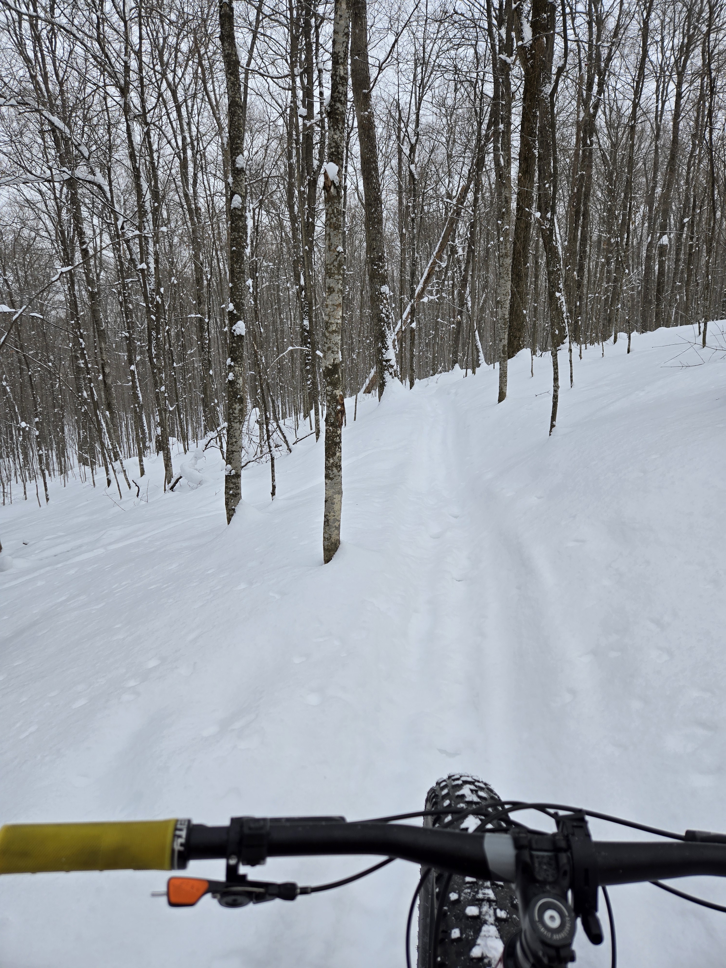Looks like winter has officially arrived, huh?