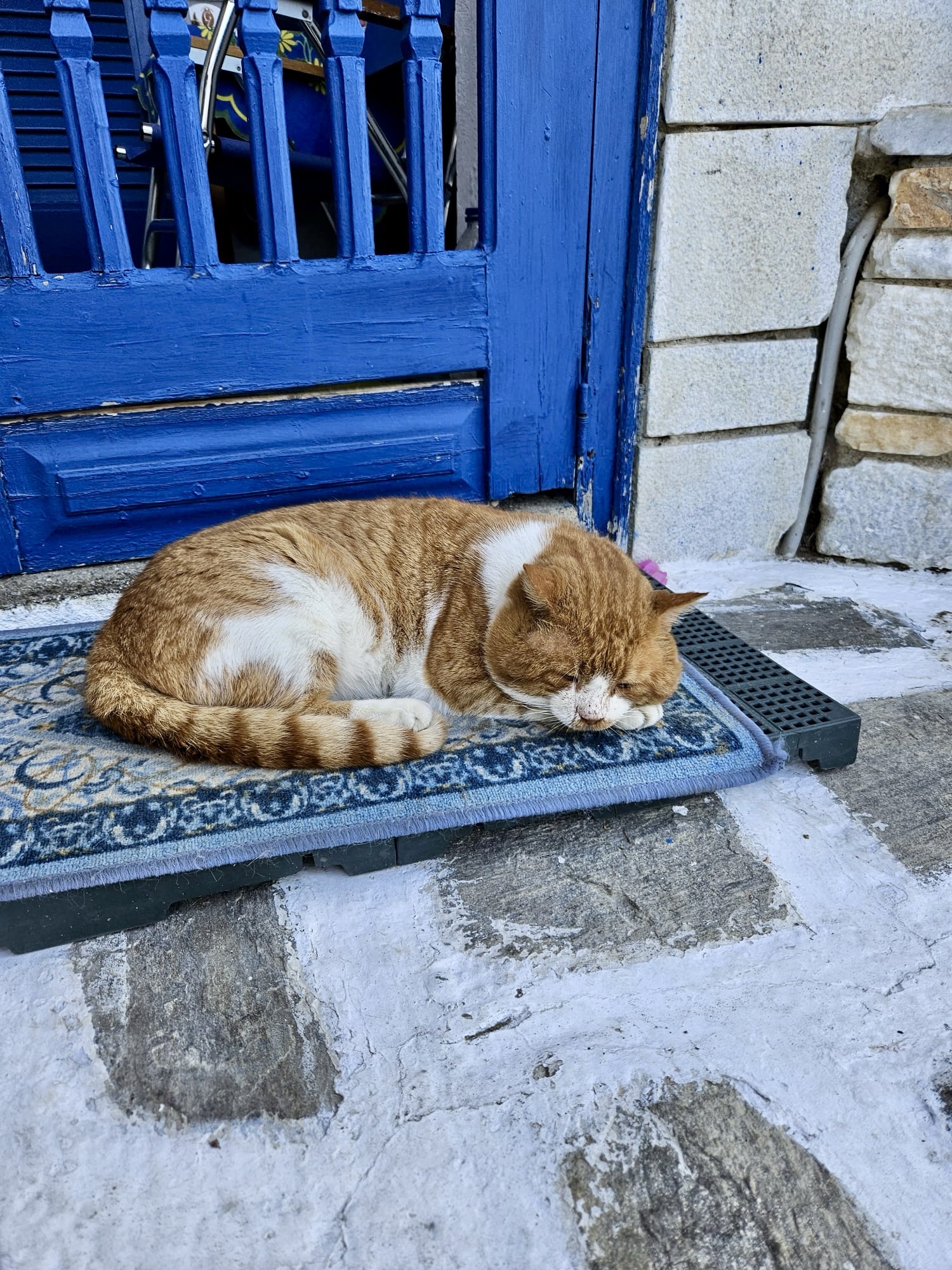 Dreamy redhead catching some Z's