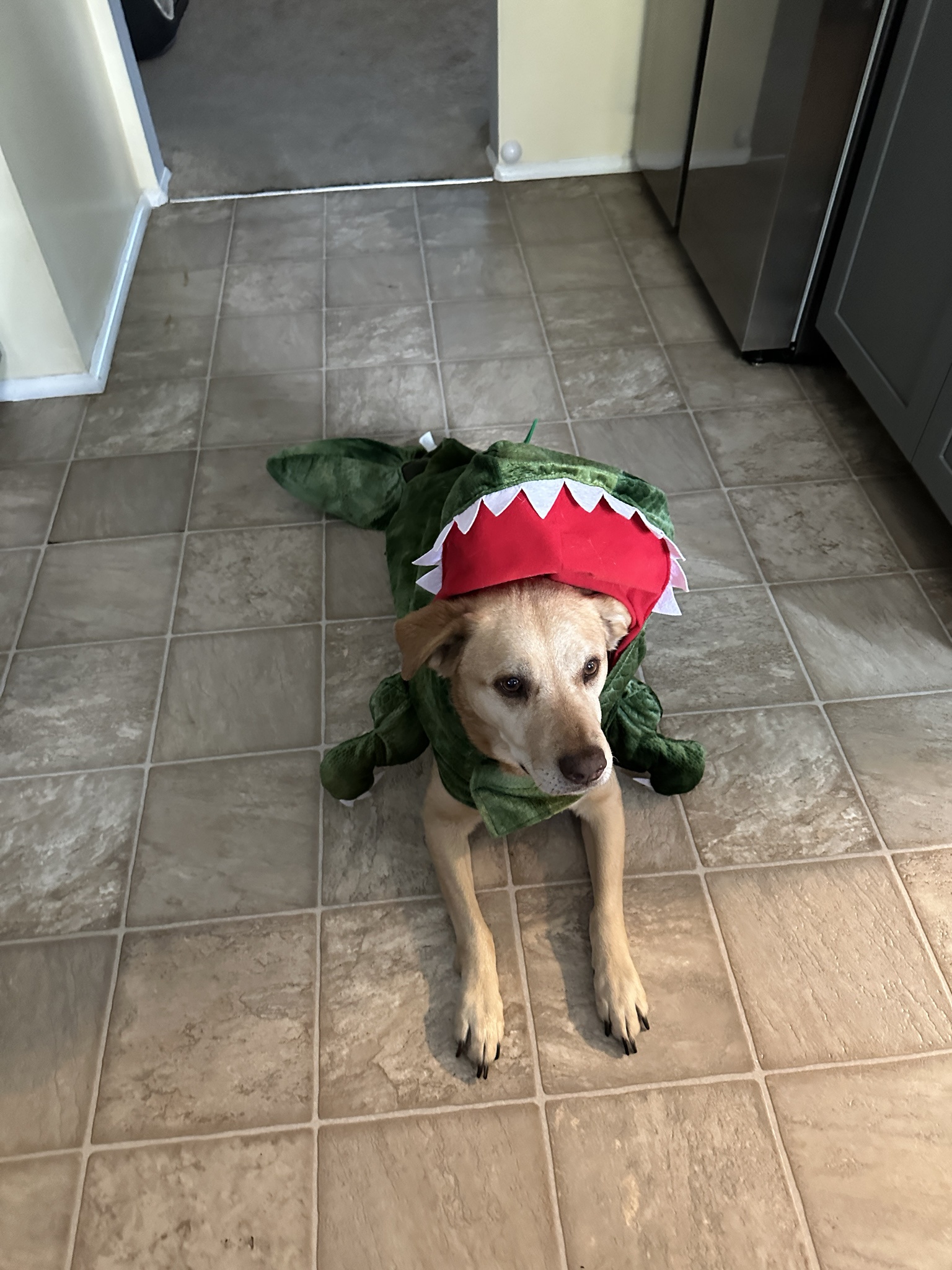 Meet the spookiest pup around!