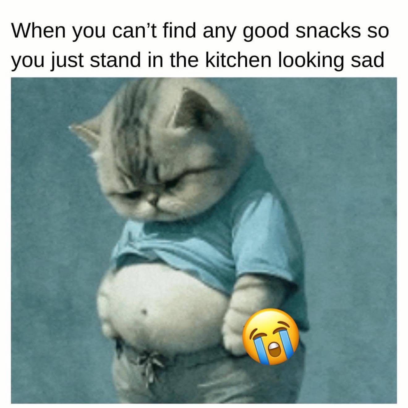 When You Just Can't Find Any Good Snacks