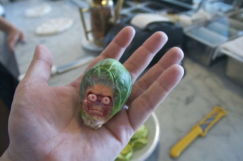 Brussel Sprouts: Not My Favorite Vegetable