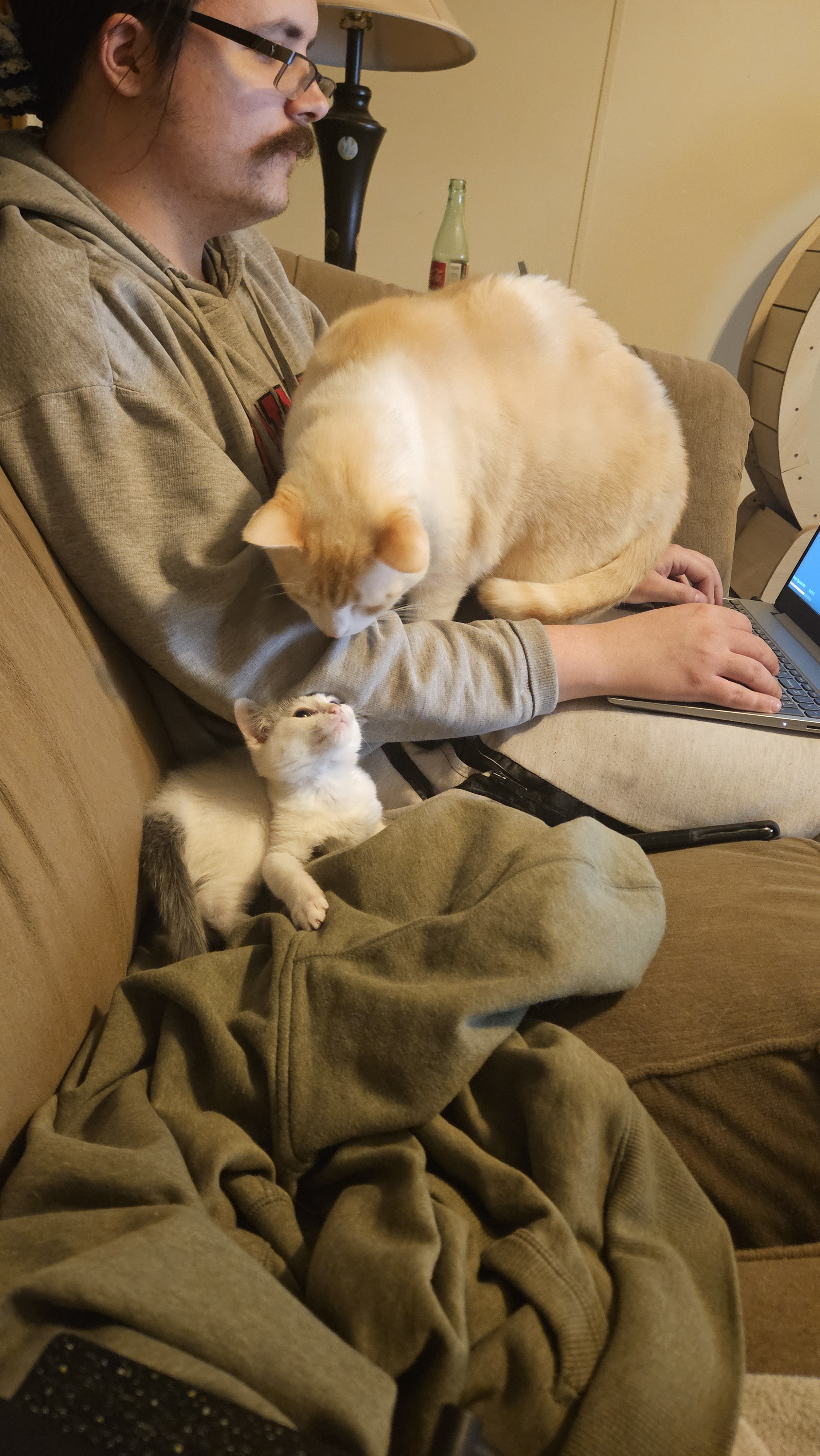 Meet my two feline friends: Hawkeye, the hefty 18-pounder, and tiny Henry, weighing just 1 pound!