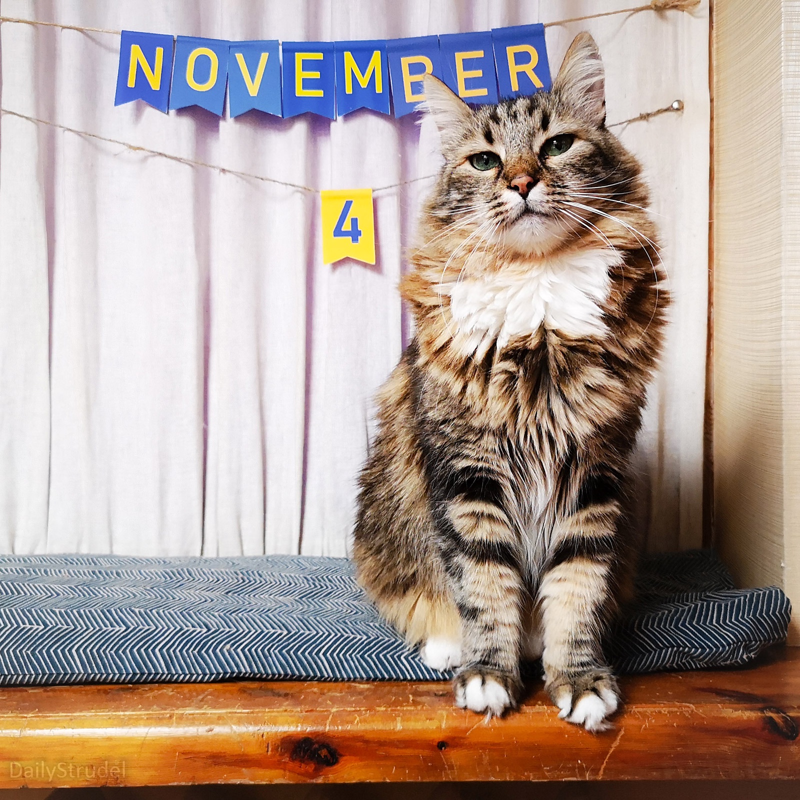 The Significant Date: November 4