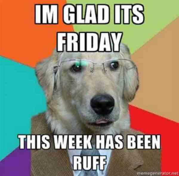 Your Weekly Dose of Friday Fun: Collection #40