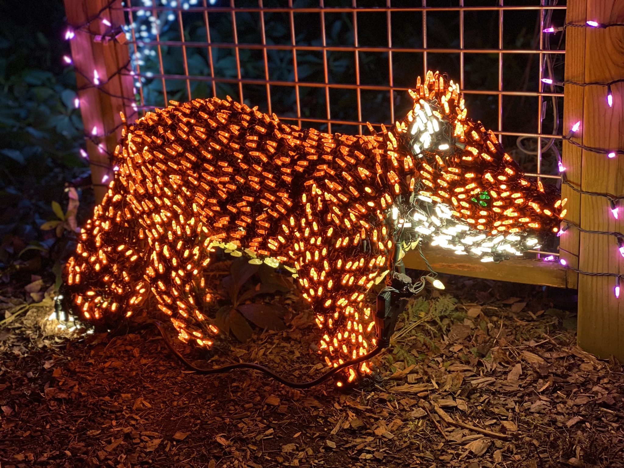 Experience the Magic of Brookside Gardens Festival of Lights - Go Pinecones!