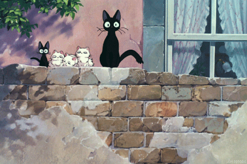 Just a little jiji!