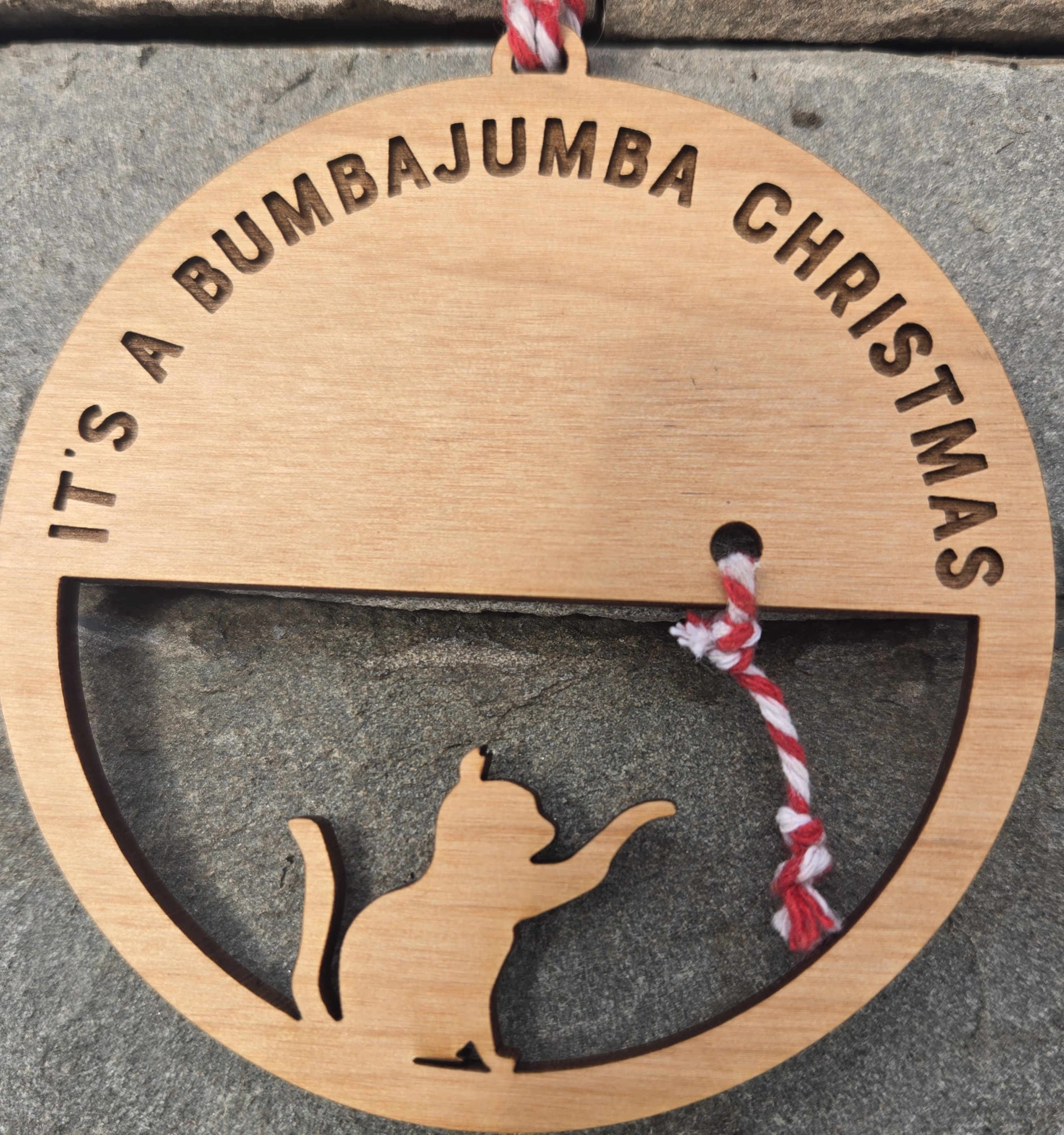 Wishing a Merry Christmas to Everyone Out There!